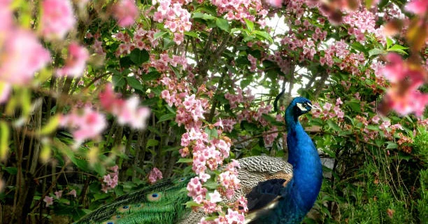 Sinh tháng Âm này, tháng Chạp mở cửa đón Thần Tài, Tết 2022 giàu khủng