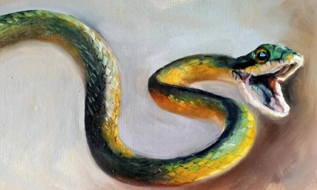 Top 3 con giáp thật thà thiện lương, Thần Tài quý nhân giúp cả đời 