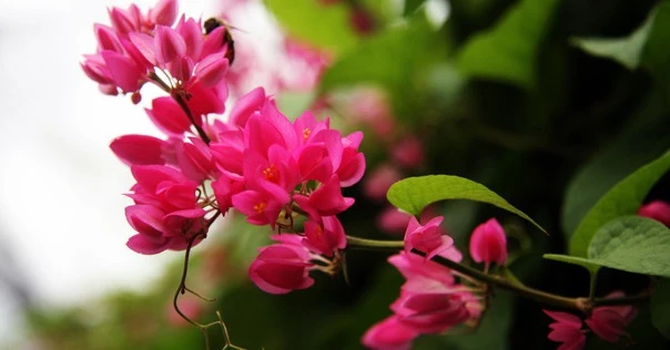 Tuần mới (8/8-14/8), 3 con giáp sự nghiệp phất lên, tiền bạc cao như núi