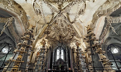 Rùng rợn những bộ xương người hàng trăm năm tuổi