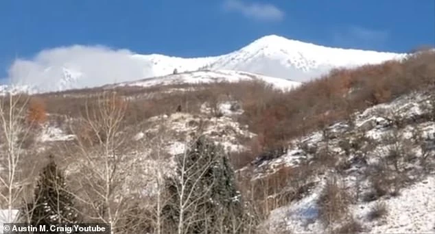 Bằng chứng giật mình về sự tồn tại của quái vật Bigfoot