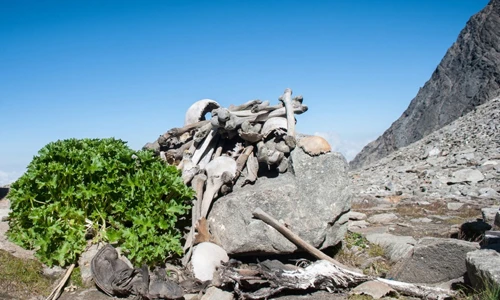 8 địa điểm rùng rợn gắn liền với sự chết chóc