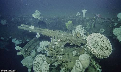Soi xác tàu sân bay Mỹ sau 65 năm chìm dưới biển