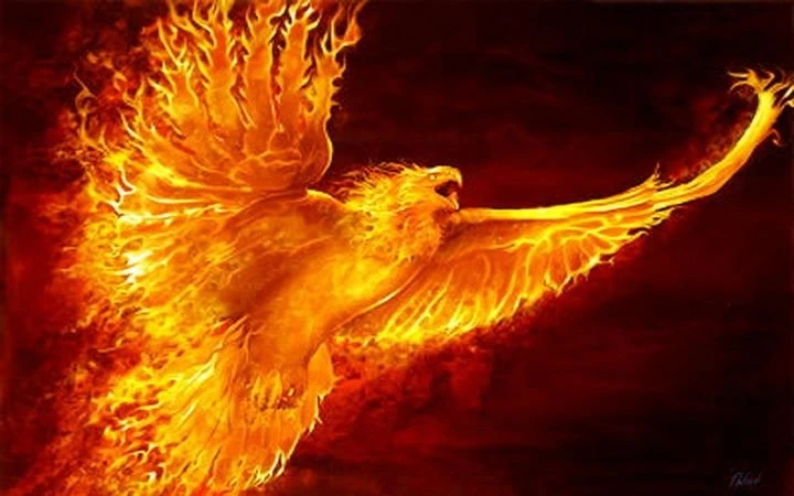 Vì sao người xưa cực sùng bái chim phượng hoàng?