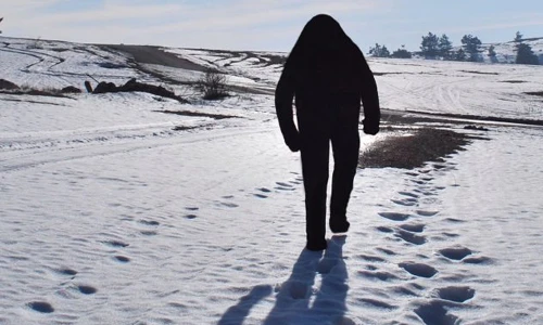 Top bí ẩn muôn đời không giải trên đỉnh Everest