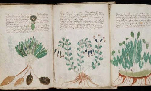 Top 10 phát hiện khảo cổ rung chuyển lịch sử nhân loại