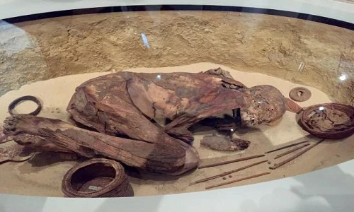 Những bộ hài cốt cổ xưa ẩn giấu bí mật kinh thiên nào?