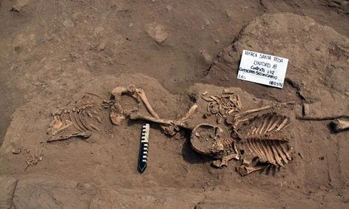 Tường tận hiến tế, uống máu phụ nữ man rợ thời xưa