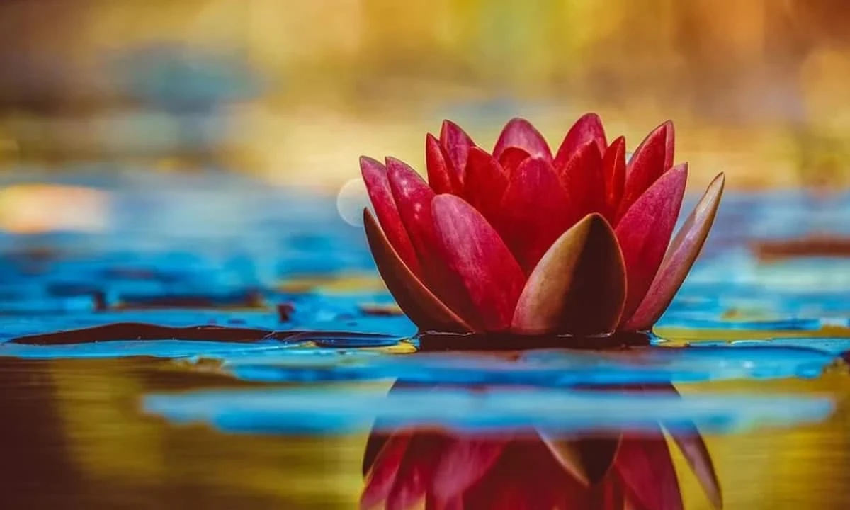 Bạn và người thân tốt đến đâu cũng đừng tiết lộ 5 điều này