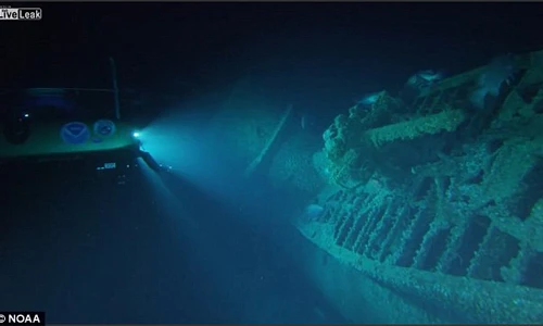 Khám phá xác tàu ngầm Đức quốc xã ngoài khơi nước Mỹ 