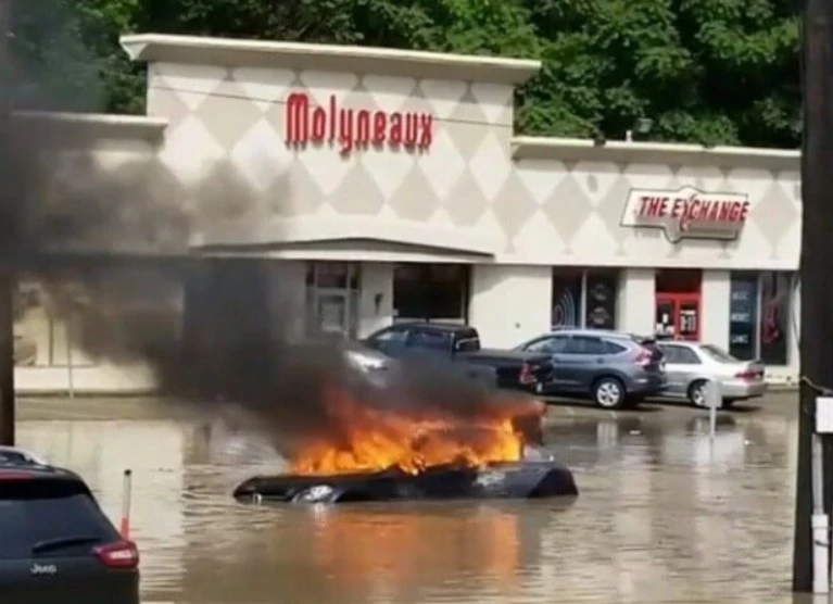 15 bức ảnh chộp đúng khoảnh khắc "đen đủi nhất cuộc đời"