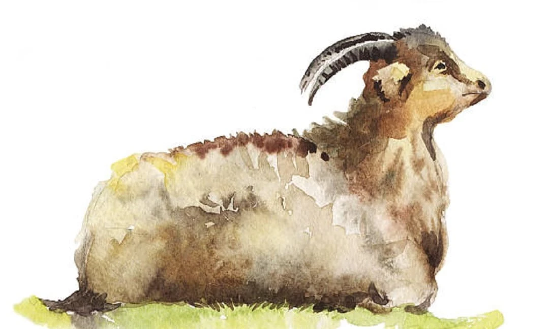 3 con giáp vận mệnh đổi gió xoay chiều, rung đùi đếm tiền 20 ngày tới