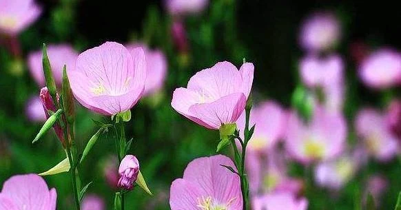 Trẻ sinh vào 3 tháng Âm này, ngoan ngoãn lại hiếu thuận, ắt thành tài