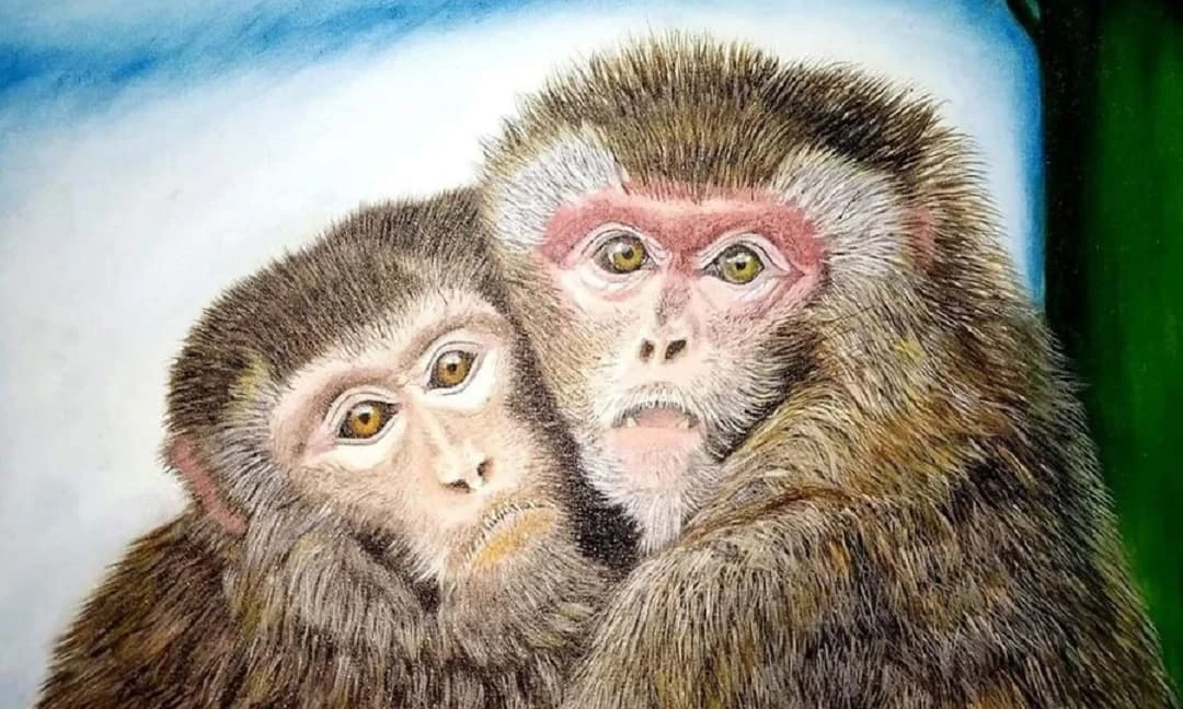 Tử vi tuần mới (27/6 - 3/7): 3 con giáp vận trình lên hương, đắc tài đắc lộc