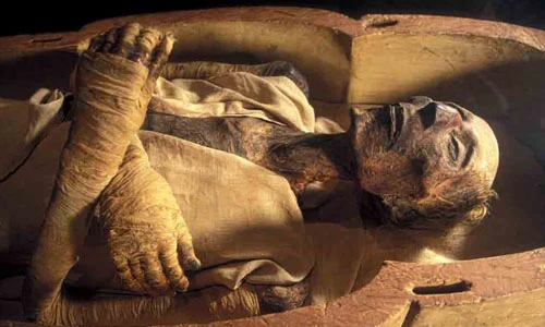 Phát hiện gây chấn động về người Ai Cập cổ đại