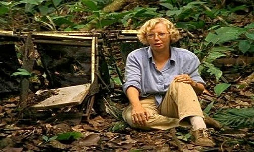 Vụ sống sót thần kỳ khi máy bay gặp nạn chấn động TG 