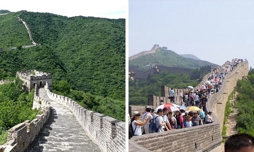 Top sự thật cuộc sống khó tin khiến bạn phải giật mình 