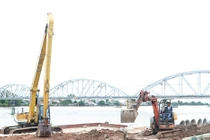 Đồng Nai: Năng lực nhà thầu trúng gói cây xanh có gì nổi bật?