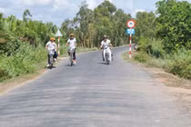 Tiền Giang: Nhà thầu Tín Hiệu trúng 2 gói chiếu sáng trong 1 ngày 