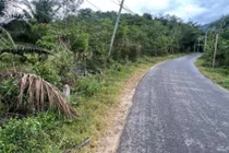 Khánh Hòa: Doanh nghiệp Việt Ngân một ngày trúng 3 gói thầu hơn 23 tỷ [Kỳ 1]