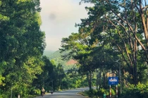 Quảng Ngãi: Hai gói sửa chữa đường hơn 15 tỷ tiết kiệm vỏn vẹn 6 triệu đồng