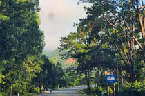 Quảng Ngãi: Hai gói sửa chữa đường hơn 15 tỷ tiết kiệm vỏn vẹn 6 triệu đồng