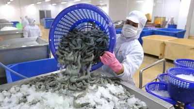 Thua lỗ 2 năm, Minh Phú lên kế hoạch có lãi và chia cổ tức 8% 