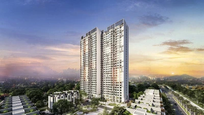 Vật liệu điện Hà Nội chia cổ tức khủng 260% sau năm lãi gấp 6.742 lần