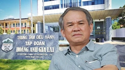 HAGL xóa sạch lỗ lũy kế nhờ thu gần 2.000 tỷ từ chuối, nợ phải trả tăng lên 15.636 tỷ