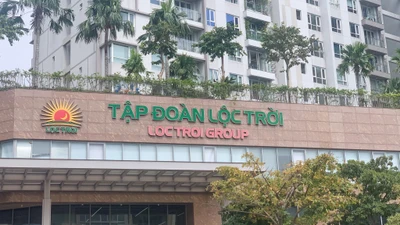 Lộc Trời đề xuất nhân sự từ Bamboo Capital vào Ban kiểm soát