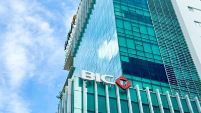 Cổ đông BIC hưởng lợi kép: Cổ tức tiền mặt và cổ phiếu thưởng cùng lúc