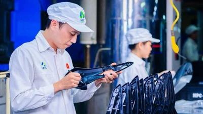 Nhựa Hà Nội sai phạm thuế, bị phạt và truy thu hàng tỷ đồng