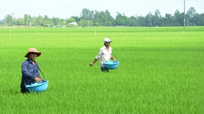 Long Mỹ : Gói thầu phân bón hữu cơ 6,8 tỷ về tay ai ?