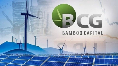BCG và TCD kéo dài vi phạm công bố báo cáo tài chính, bị HoSE cảnh báo