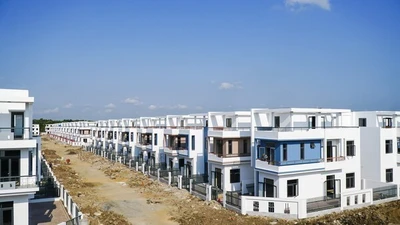 LDG tiếp tục bị giữ diện kiểm soát và cảnh báo do lỗ lũy kế vượt 55% vốn