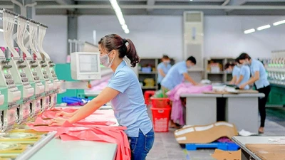 May Sông Hồng bị phạt và truy thu thuế gần 1,7 tỷ đồng