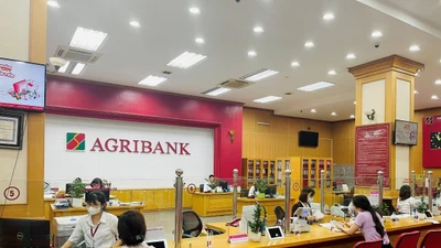 Agribank lãi trước thuế 13.232 tỷ, nợ xấu giảm 8% trong nửa đầu 2025