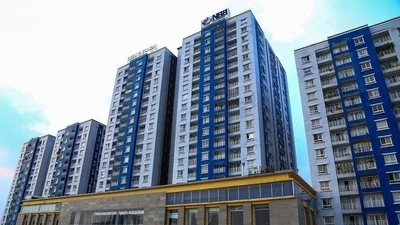 Lãi lẹt đẹt, nợ ngập đầu, NBB vẫn xin đầu tư 10.500 tỷ đồng làm 2 dự án BĐS