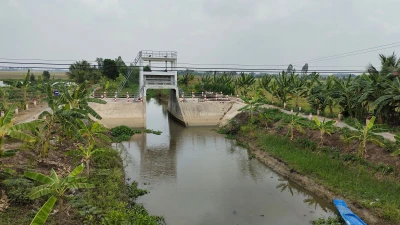 Cứng hóa đê bao bờ Bắc K17 thúc đẩy nông nghiệp phát triển