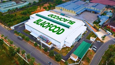 Antesco – “ông lớn” xuất khẩu nông sản ĐBSCL chuẩn bị niêm yết HoSE