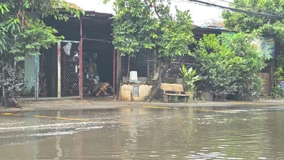 2 nhà thầu muốn bảo dưỡng hạ tầng giao thông xã Nhị Bình 