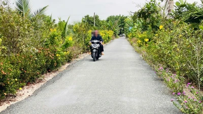 Công ty Vũ Nam và những dự án công tại Long An