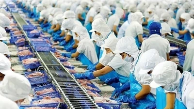 Vĩnh Hoàn lãi 733 tỷ đồng sau 6 tháng, vượt nửa kế hoạch năm