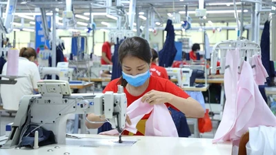 Dệt may Hòa Thọ báo lãi vượt mốc 185 tỷ bán niên