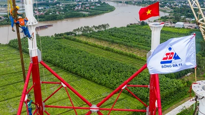 Sông Đà đấu giá 17% cổ phần SJE với giá khởi điểm gấp 3 lần thị trường