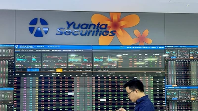 Yuanta Việt Nam hạ mục tiêu kinh doanh 2025 sau nửa năm không đạt kỳ vọng