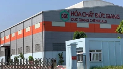 Đức Giang báo lãi kỷ lục 10 quý, tiền mặt 12.000 tỷ chiếm 67% tổng tài sản