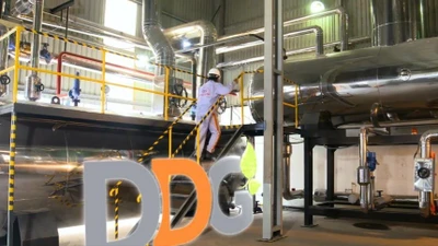 Công bố thông tin sai lệch, Xuất nhập khẩu Đông Dương bị phạt nặng