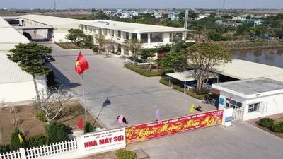 Cổ phiếu sợi SVD tăng sốc 40% trong 1 tuần, doanh nghiệp lên tiếng giải trình