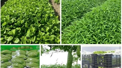 "Hệ sinh thái" suất ăn học đường của Thực phẩm Huy Hoàng tại TP.HCM